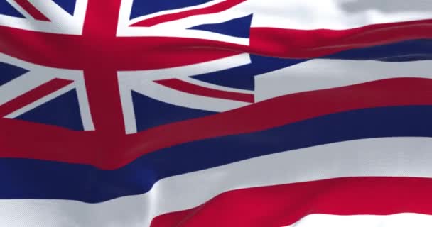 Bandera Del Estado Hawai Ondeando Viento Hawái Estado Oeste Los — Vídeos de Stock