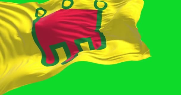 View Auvergne Flag Waving Wind Isolated Green Screen Auvergne Former — Stockvideo