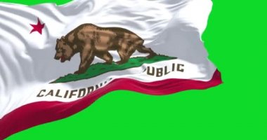 Yeşil arka planda izole edilmiş California bayrağının yakın çekim görüntüsü. Kaliforniya, Amerika Birleşik Devletleri 'nin güneybatı kıyısında bulunan bir eyalettir. Yavaş çekimde kusursuz döngü