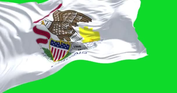 Amerikaanse Staatsvlag Van Illinois Zwaaiend Wind Geïsoleerd Een Groene Achtergrond — Stockvideo