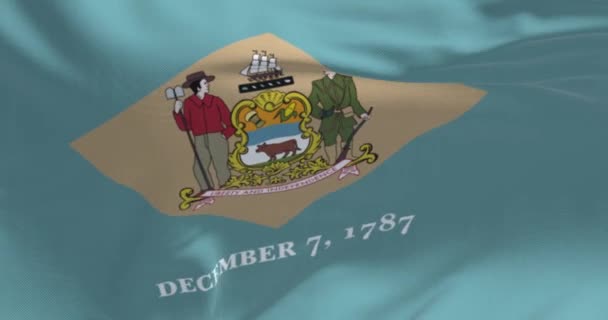 State Flag Delaware Waving Wind Delaware State Mid Atlantic Region — ストック動画