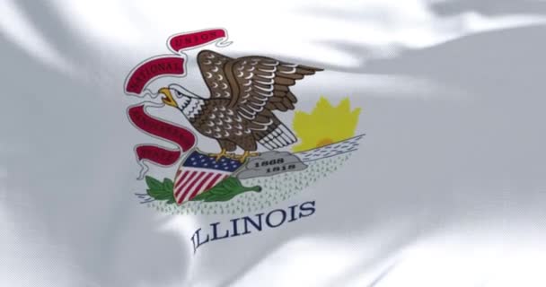 State Flag Illinois Waving Wind Illinois State Midwestern Region United — Stockvideo