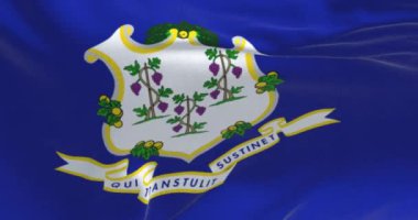 Connecticut bayrağı dalgalanan kumaş arka plan. Connecticut, Amerika Birleşik Devletleri 'nin New England bölgesinin en güneyindeki eyalettir. Demokrasi ve bağımsızlık. Yavaş çekimde kusursuz döngü