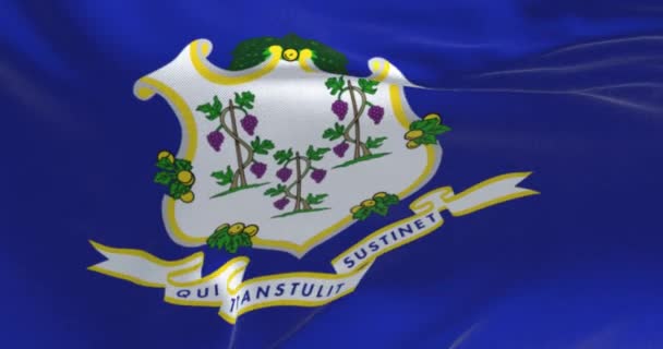 Stoff Hintergrund Mit Der Flagge Von Connecticut Weht Connecticut Ist — Stockvideo