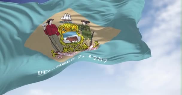 State Flag Delaware Waving Wind Clear Day Delaware State Mid — Stock Video