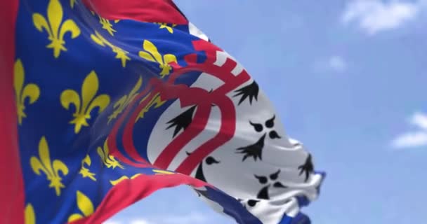 Flag Pays Loire French Region Waving Wind Clear Day Pays — Stockvideo