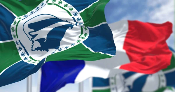 Національні Прапори Мартиніки Розмахують Прапором Франції Ясний День Мартиніка Острів — стокове фото