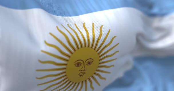 Detailní Záběr Státní Vlajku Argentinské Republiky Jihoamerická Země Bezešvé Smyčky — Stock video