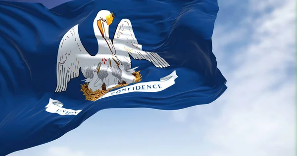 Bandera Del Estado Luisiana Ondeando Viento Louisiana Estado Las Regiones — Foto de Stock