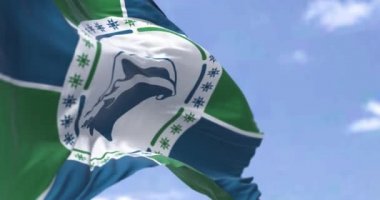 Flag of Martinique waving in the wind on a clear day. Martinique is an island of the Antilles, French overseas department. Seamless loop in slow motion
