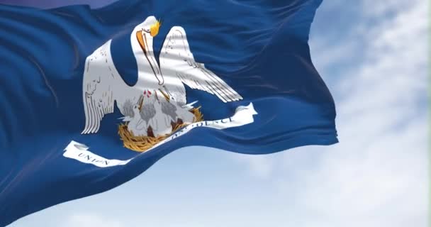 State Flag Louisiana Waving Wind Louisiana State Deep South South — Vídeo de stock