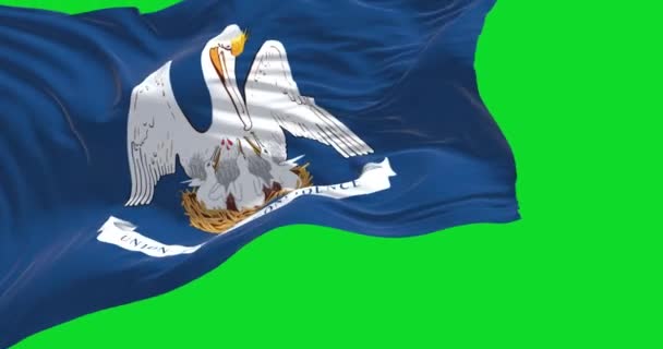 Americká Vlajka Státu Louisiana Vlní Izolovaně Zeleném Pozadí Bezešvé Smyčky — Stock video