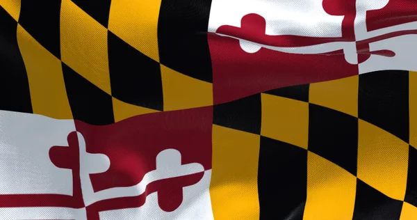 Die Flagge Des Bundesstaates Maryland Weht Wind Maryland Ist Ein — Stockfoto