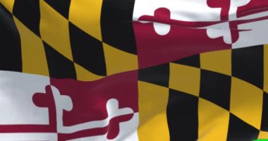 The US state flag of Maryland waving in the wind. Maryland is a state in the Mid-Atlantic region of the United States. Democracy and independence. Seamless loop in slow motion