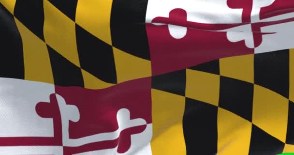 Americká Vlajka Státu Maryland Vlnící Větru Maryland Stát Středoatlantické Oblasti — Stock video