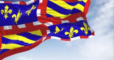 View of the Burgundy flag waving in the wind on a clear day. Burgundy is a historical territory of east-central France. Selective focus. Seamless loop in slow motion