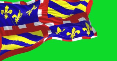 View of the Burgundy flag waving in the wind isolated on a green background. Burgundy is a historical territory of east-central France. Selective focus. Seamless loop in slow motion