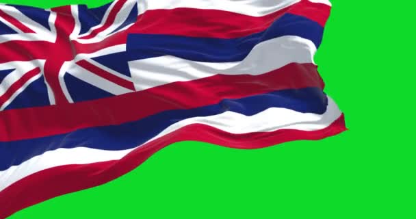 Amerikaanse Vlag Van Hawaï Wappert Wind Geïsoleerd Een Groene Achtergrond — Stockvideo