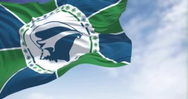 Açık bir günde rüzgarda sallanan Martinique bayrağı. Martinique, Antiller Adaları 'nda yer alan bir adadır. Yavaş çekimde kusursuz döngü