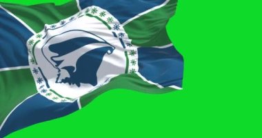 Açık bir günde rüzgarda sallanan Martinique bayrağı. Martinique, Antiller Adaları 'nda yer alan bir adadır. Yavaş çekimde kusursuz döngü