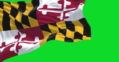 The US state flag of Maryland waving in the wind isolated on a green background. Maryland is a state in the Mid-Atlantic region of the United States. Seamless loop in slow motion