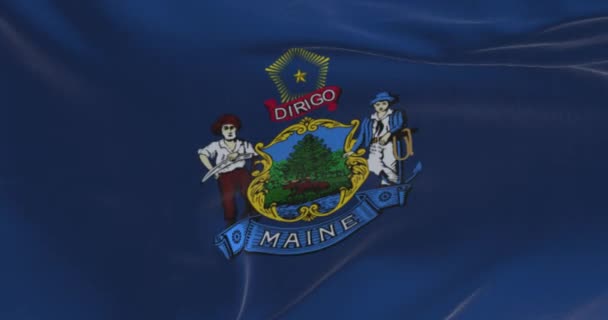 State Flag Maine Waving Wind Maine State New England Region — Vídeo de stock