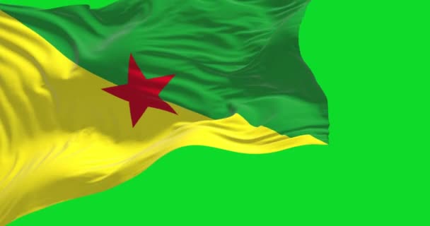 Flag French Guiana Waving Isolated Green Background French Guiana Overseas — Stockvideo