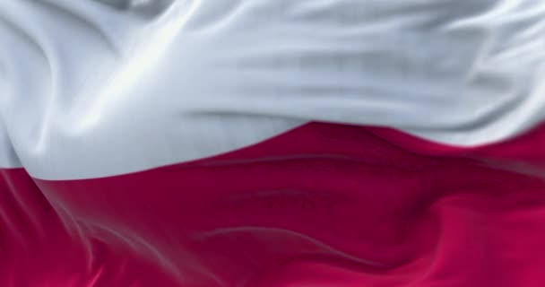 Close View Poland National Flag Waving Wind Poland Country Central — Stockvideo