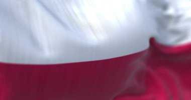 Close-up view of the Poland national flag waving in the wind. Poland is a country in Central Europe. Fabric textured background. Selective focus. Seamless loop in slow motion