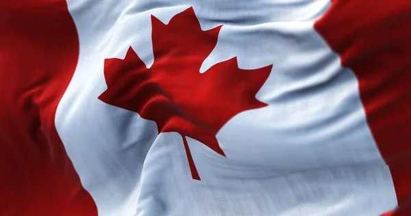 Close View Canadian National Flag Waving Wind Country North America — Stok fotoğraf
