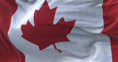 Close-up view of the canadian national flag waving in the wind. Canada is a country in North America. Fabric textured background. Selective focus. Seamless loop in slow motion