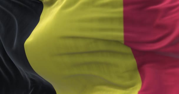 Close View Belgian National Flag Waving Wind Belgium Country Northwestern — Stockvideo