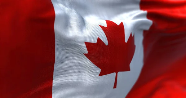 Close View Canadian National Flag Waving Wind Country North America — Stok fotoğraf