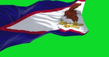 The American Samoa flag in the wind isolated on a green background. American Samoa is an unincorporated territory of the US located in the South Pacific Ocean. Seamless loop in slow motion. Chroma key
