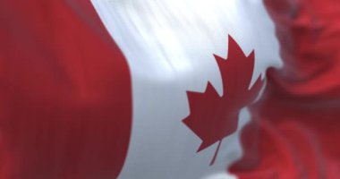 Close-up view of the canadian national flag waving in the wind. Canada is a country in North America. Fabric textured background. Selective focus. Seamless loop in slow motion