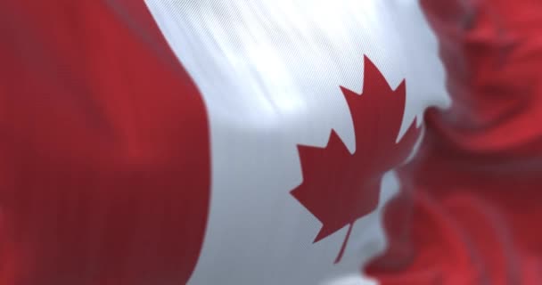 Close View Canadian National Flag Waving Wind Canada Country North — 图库视频影像
