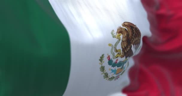 Γκρο Πλαν Άποψη Της Μεξικανικής Εθνικής Σημαίας Κυματίζει Στον Άνεμο — Αρχείο Βίντεο