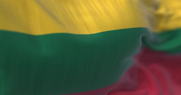 Közelkép Szélben Lengő Litván Zászlóról Litván Köztársaság Európai Balti Térség — Stock videók