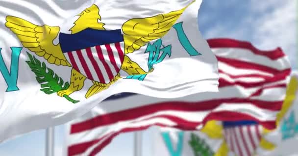 Flaggen Der Jungferninseln Der Vereinigten Staaten Wehen Einem Klaren Tag — Stockvideo