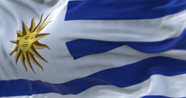 Nahaufnahme Der Nationalflagge Uruguays Die Wind Weht Die Orientalische Republik — Stockvideo