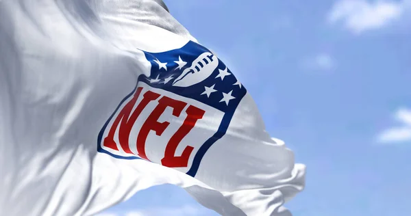 イングルウッド アメリカ 2022年1月 Nflのロゴが風に揺れる旗 Nflはアメリカのプロサッカーリーグです — ストック写真
