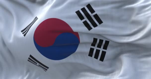 Vista Cerca Bandera Nacional Corea Del Sur Ondeando Viento República — Vídeos de Stock