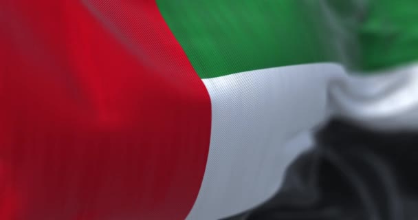 Närbild Förenade Arabemiratens Nationella Flagga Viftar Vinden Emirates Ett Land — Stockvideo