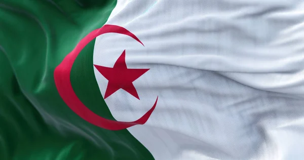 Погляд Алжирський Національний Прапор Махає Вітром Народна Демократична Республіка Алжир — стокове фото