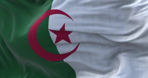 Погляд Алжирський Національний Прапор Махає Вітром Алжир Країна Північній Африці — стокове відео