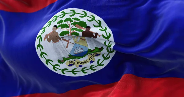 Widok Bliska Flagę Belize Machającą Wietrze Belize Kraj Karaibski Północno — Zdjęcie stockowe