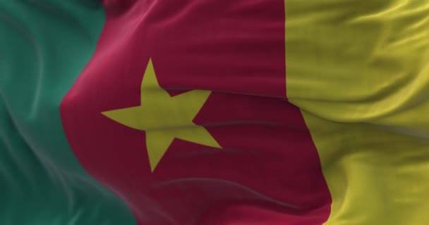喀麦隆国旗在风中飘扬的近景 喀麦隆共和国是非洲中西部的一个国家 面料纹理背景 有选择的重点 慢动作无缝圈 — 图库视频影像