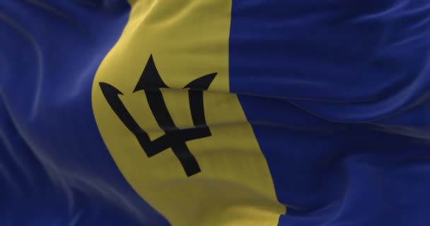 Vista Perto Bandeira Nacional Barbados Acenando Vento Barbados País Insular — Vídeo de Stock