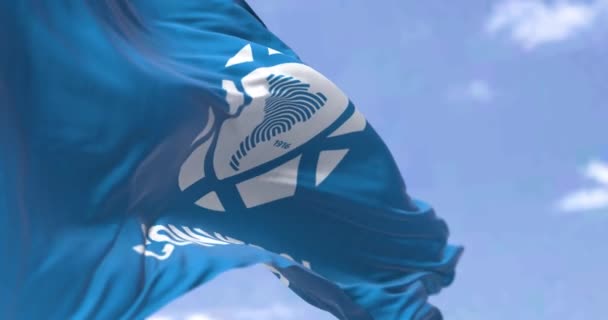 Luque Par Μάρτιος 2022 Οπίσθια Όψη Σημαίας Λογότυπο Της Conmebol — Αρχείο Βίντεο