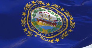 New Hampshire eyaletinin bayrağını sallarken yakın çekim görüntüsü. New Hampshire, ABD 'nin kuzeydoğu bölgesinde bulunan bir eyalettir. Amerikan bayrağı. 3 boyutlu görüntüleme. Yavaş çekimde kusursuz döngü